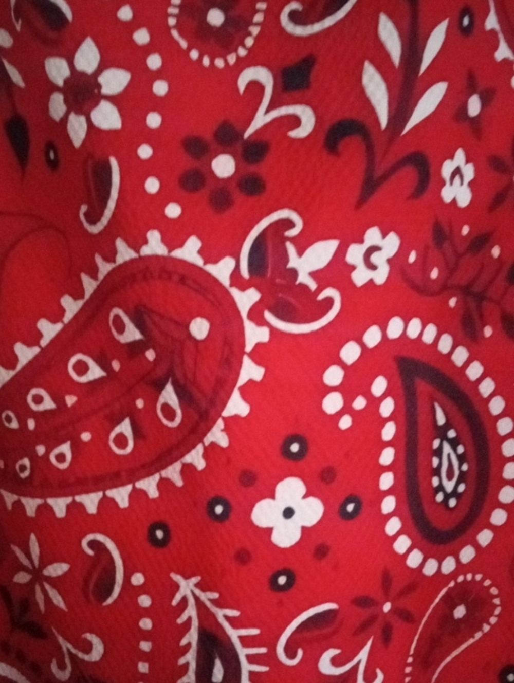 Women’s Red Paisley V-Neck Tunic Top - Bell Sleeves - Picture 6 of 13